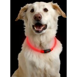 Nitehowl LED Safety Necklace -Outdoor Products Sale go 317476 z