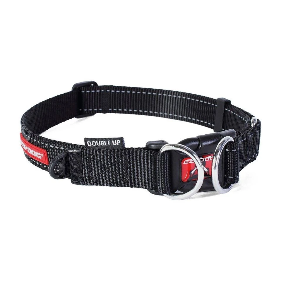 Double Up Dog Collar (Small) 4 Double Up Dog Collar (Small) - Image 4