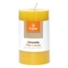 Citronella Pillar Candle
