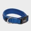 Classic Neo Dog Collar (Medium)