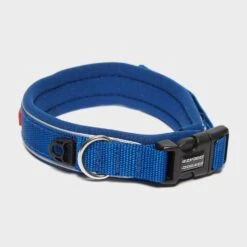 Classic Neo Dog Collar (Small)