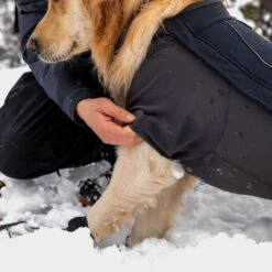 Ruffwear Cloud Chaser Dog Jacket -Outdoor Products Sale go 479976 d