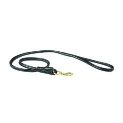 Weatherbeeta Rolled Leather Dog Lead -Outdoor Products Sale go 517574 z
